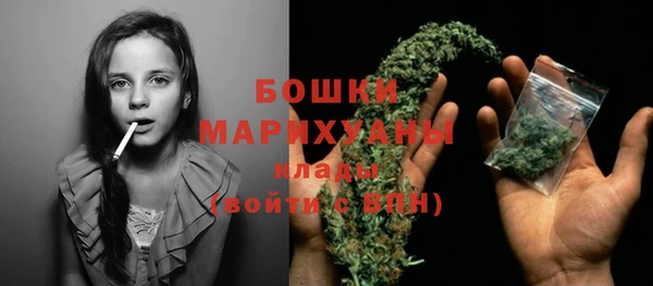 гидра Арсеньев