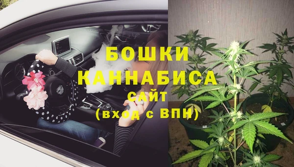 гидра Арсеньев