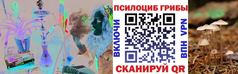 Галлюциногенные грибы Psilocybe  Петухово 